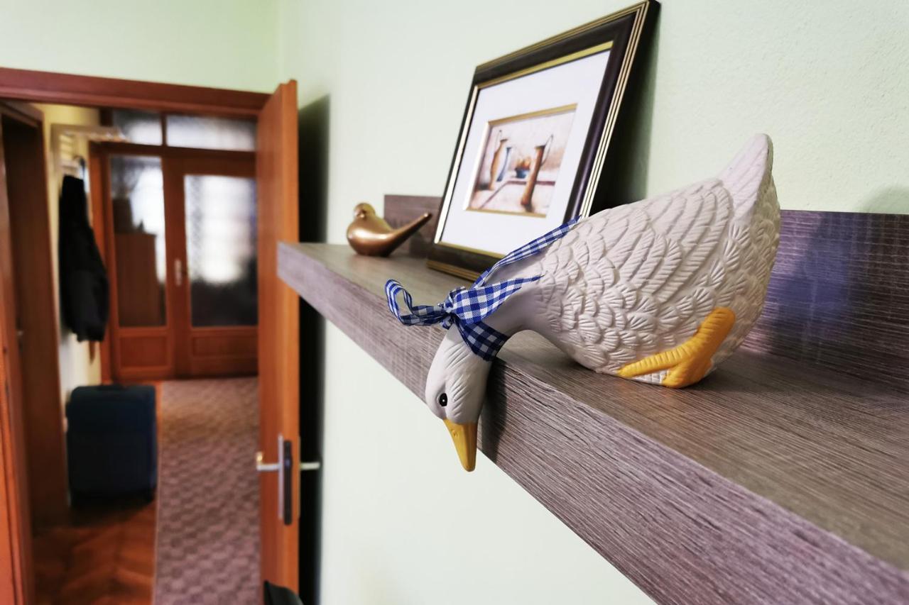 Apartman Skudar بييلوفار المظهر الخارجي الصورة